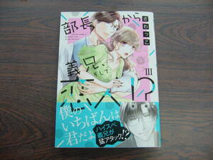 部長から義兄、そして恋人!?Ⅲ◇ざわっこ◇4月 最新刊 YL コミックス 