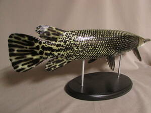 ●ハンドメイド　６０ｃｍアリゲーターガー　魚模型　古代魚　熱帯魚　フィギュア　レプリカ　fish craft REAL