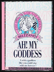 [New Item] [Delivery Free]1990s Ah! My Goddess A4 Transparent File Case ああっ 女神さま A4透明ファイルケース ？[tag1101]