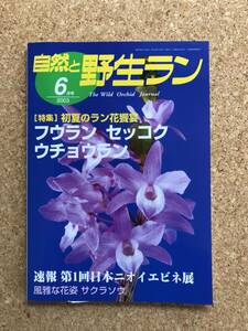 自然と野生ラン 2003年6月号　※ フウラン セッコク ウチョウラン エビネ イカリソウ ※ 園芸JAPAN