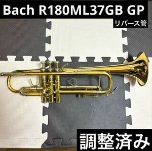 Bach トランペットR180ML 37GB GP 金 メッキ仕上 リバース管