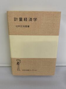 計量経済学 岩波全書セレクション 辻村江太郎 【329