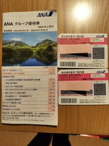 ANA株主優待券２枚（25年5月末まで）、グループ優待券付