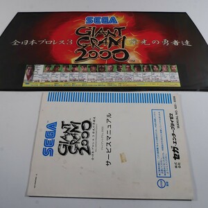 純正インスト+取扱説明書　全日本プロレス3　ジャイアントグラム2000　SEGA　NAOMI