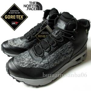 メンズ 27ｃｍ◆未使用 定価19,800円 THE NORTH FACE ノースフェイス GORE-TEX 防水 高耐久 トレッキングシューズ スニーカー アウトドア