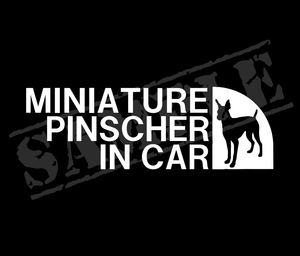 ♪♪ミニチュアピンシャー IN CAR（立ち耳タイプ） パロディステッカー　5.5cm×17cm♪♪