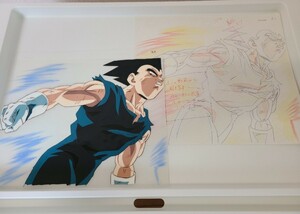 DRAGON BALL　セル画　直筆動画付き！　ベジータ　検　ドラゴンボール　鳥山明