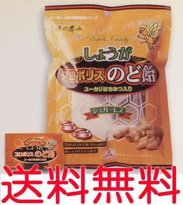 生姜（しょうが）プロポリス入りのど飴　80g キャンディー 代引不可 ゆうパケット 送料無料