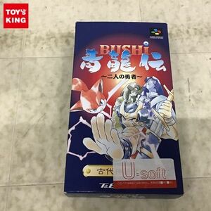 1円〜 スーファミ ソフト BUSHI 青龍伝 二人の勇者