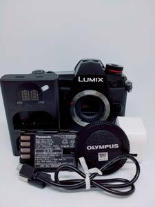 Panasonic LUMIX G9 PRO ボディ DC-G9-K ミラーレス 一眼カメラ ブラック パナソニック