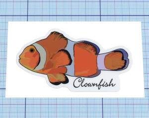 ★★ カクレクマノミ(Clownfish) ★★ 英語 Ver.　 左右約8cm