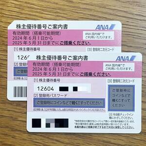ANA 全日空 株主優待券 2024年6月1日〜2025年5月31日 2枚