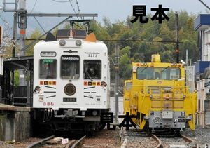 ★鉄道画像★和歌山電鐵　たま電車Ｂ　３カット