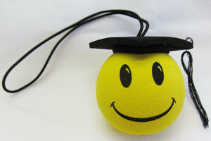 School Cap Antenna Topper【定形外郵便発送可】アンテナの先端に付けるアンテナトッパー 学帽