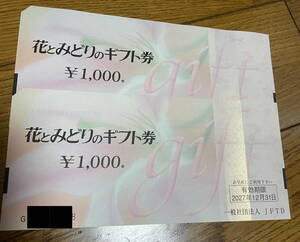 花とみどりのギフト券 2000円