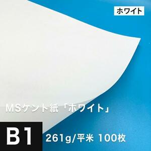 ケント紙 b1 MSケント紙 ホワイト 261g/平米 B1サイズ：100枚 画用紙 白 ラッピング 包装紙 DIY 工作用紙 アート作品 手芸 印刷紙