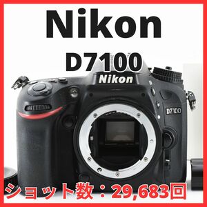 E20/5694A-20 / ニコン Nikon D7100 ボディ 【ショット数 29,683回】
