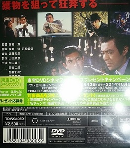 DVD　「豹は走った」新品新品未開封　加山雄三　加賀まりこ　田宮二郎