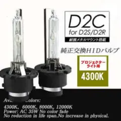 HID D2S D2C 4300K 兼用