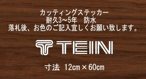 TEIN　テイン　横60㎝　スタンス　ステッカー　stance　jdm usdm 走り屋　vip カッティングステッカー　フロント