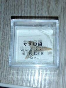 ☆サメの歯化石 shtoothooth 年代 新生代　始新世　 産地 モロッコ　ユニバーサルスタジオジャパン　未使用品☆　