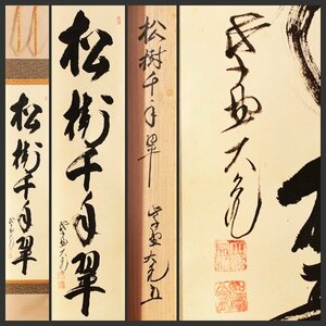 【古美味】立花大亀 自筆一行書「松樹千年翠」軸装 茶道具 保証品 Z7Ii