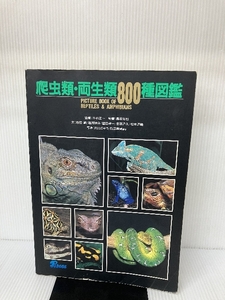 爬虫類・両生類800種図鑑 ピーシーズ 拓也, 長坂