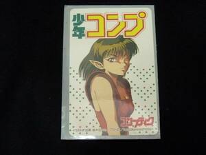 （Nz042423）希少品！少年コンプ テレフォンカード　コンプティーク 出渕裕 ロードス島戦記 リーフ テレカ グループSNE 角川