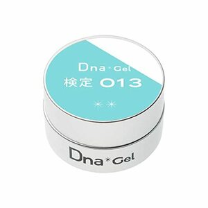 Dna Gel カラージェル 検定013 2.5g UV/LED対応