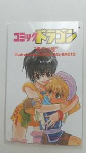 ○風の大陸　月刊コミックドラゴン　抽プレ　テレカ　橋本正枝　富士見書房