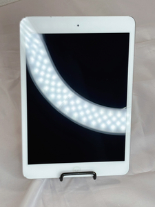 10373-2-SJ22-Apple-2012年 iPad mini Wi-Fiモデル　-通電動作確認済