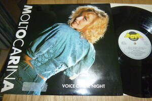  12” MOLTO CARINA // VOICE OF THE NIGHT 