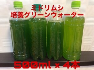 ミドリムシ ユーグレナ 培養グリーンウォーター 500ml 4本セット 種水 メダカ 稚魚 エサ 育つ　