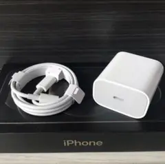 iPhone急速20W電源