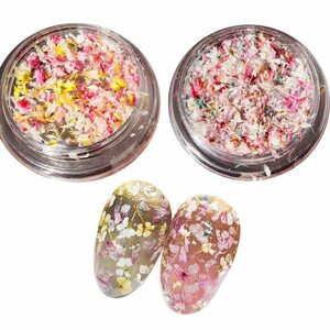 DingLan ドライフラワー ネイルパーツ 押し花 レジン用 花 デコパーツ 工房 用品 美甲 スターフラワー （セット内容：ドライフラワー