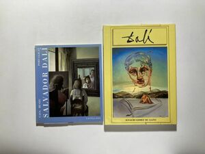 ダリ図録2冊セット サルバドール・ダリ画集 SALVADOR DALI PORT LLIGAT / IGNACIO GOMEZ DE LIANO DALI