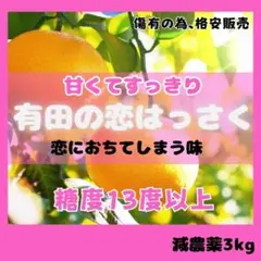 訳あり すっきり 和歌山 紅はっさく  B級 3kg 少農薬