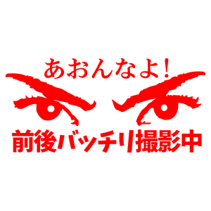 あおり防止 ステッカー 【 あおんなよ 前後バッチリ撮影中 】【赤】 車用 カッティングステッカー ドラレコ搭載車用 交通安全