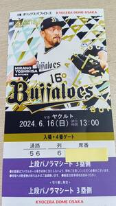 6月16日　6/16　オリックス対ヤクルト　上段パノラマシート　1枚価格　京セラドーム大阪