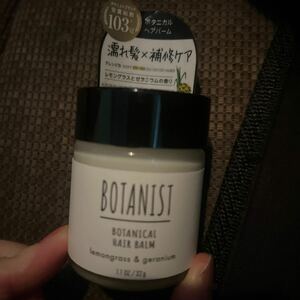 BOTANIST ボタニスト ボタニカルヘアバーム 32gクリーム 