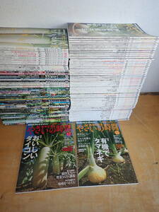 【S⑱A】大量★趣味の園芸 やさいの時間　2010年11月号～2021年12月号 抜無　まとめて112冊セット