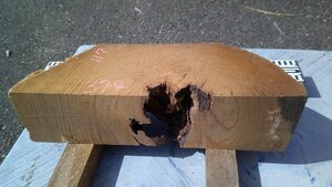 17-16　本桑（クワ）赤身縦木の乾燥材・・・ロクロ・刳りもの・指物・彫刻・オブジェ・DIY