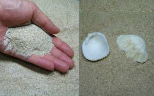 オカヤドカリ用　特製＠砂！3kgセット（天然海水付き）