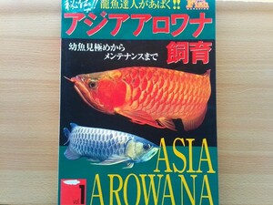 即決 アロワナ アジアアロワナ飼育 飼い方 保存版 龍魚 レッド(紅龍・血紅龍)・マレーシア・ゴールデン(過背金龍)・坂本孝治・プラタパッド