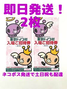 2枚　東京ドイツ村 入場ご招待券 ドライブ 子供動物園　遊園地　デート　体験　花摘み　千葉旅行　芝生　公園　外遊び　恐竜　せせらぎ