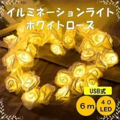 ✨USB✨6m✨ローズ ストリングライト バラ　ライト　40個　ホワイト