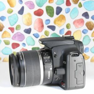 ◇Canon キャノン EOS KISS digital N ◇迷ったらこのカメラ♪ ◇レンズキット ◇美品