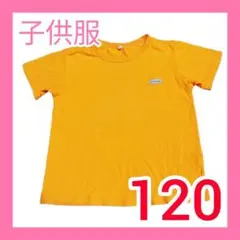 子供服 Tシャツ ユニセックス 120㎝ イエロー 男女兼用 キッズ 子供