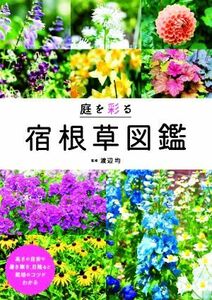 庭を彩る　宿根草図鑑／渡辺均(監修)