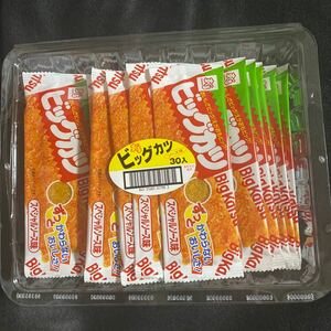 すぐる★ビッグカツ★ソース味★30入り★ずっとかわらないおいしさ★スペシャルソース味★賞味期限2024.03.03